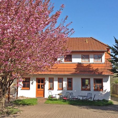 Landpension Zum Kleinen Urlaub Wredenhagen ห้อง รูปภาพ